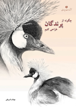 کتاب چگونه از پرندگان طراحی کنیم