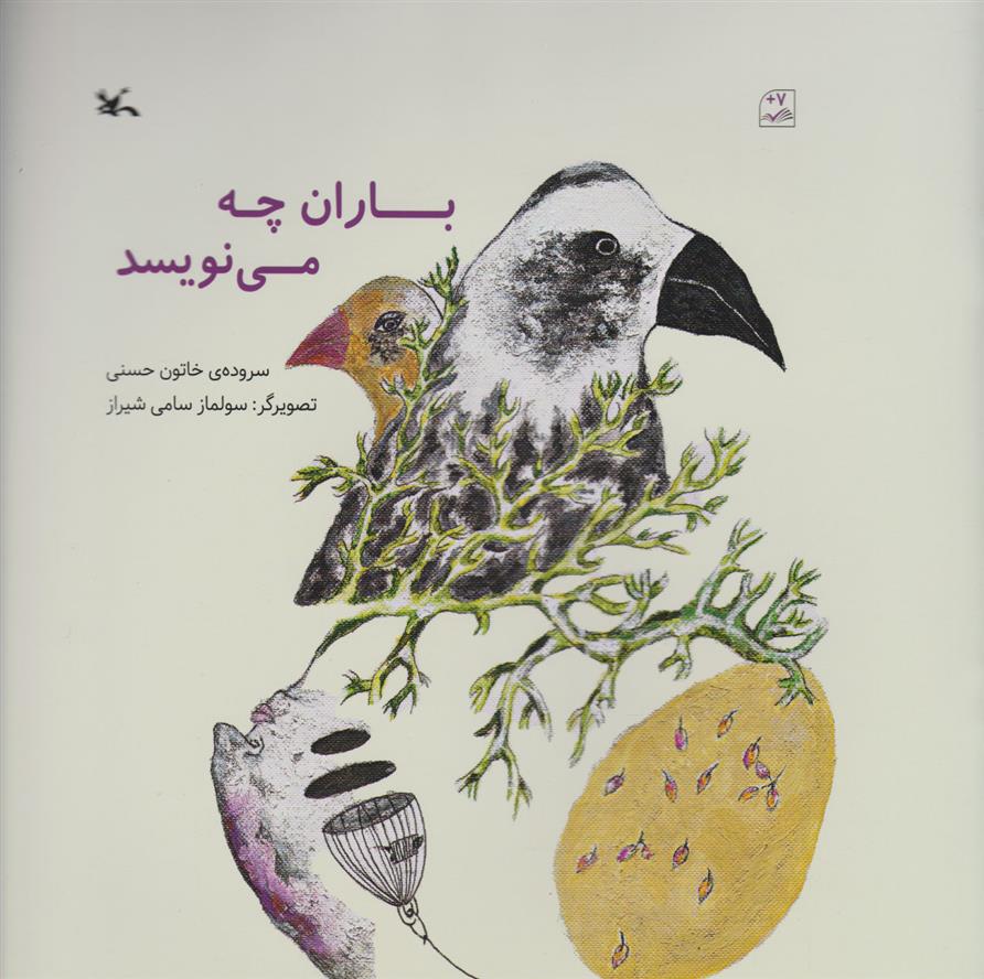 کتاب باران چه می نویسد;