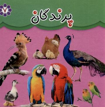 کتاب پرندگان (دو زبانه)