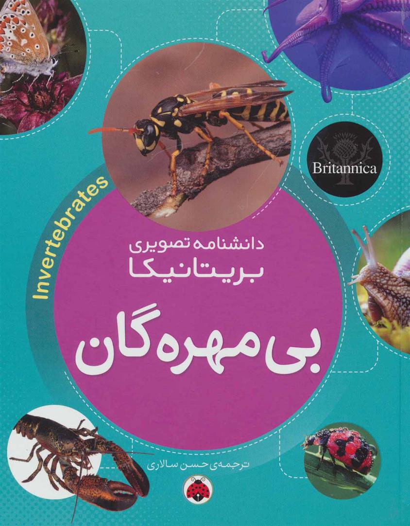 کتاب بی مهره گان;