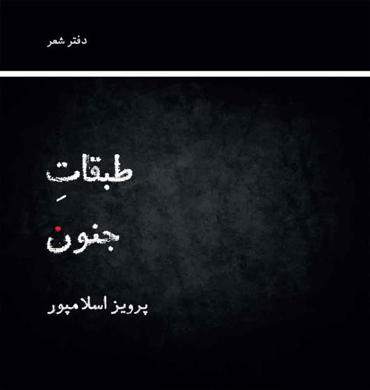 کتاب طبقات جنون