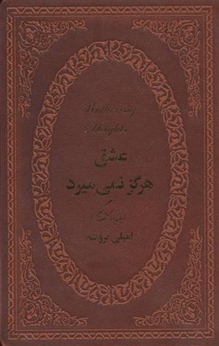 کتاب عشق هرگز نمی میرد;