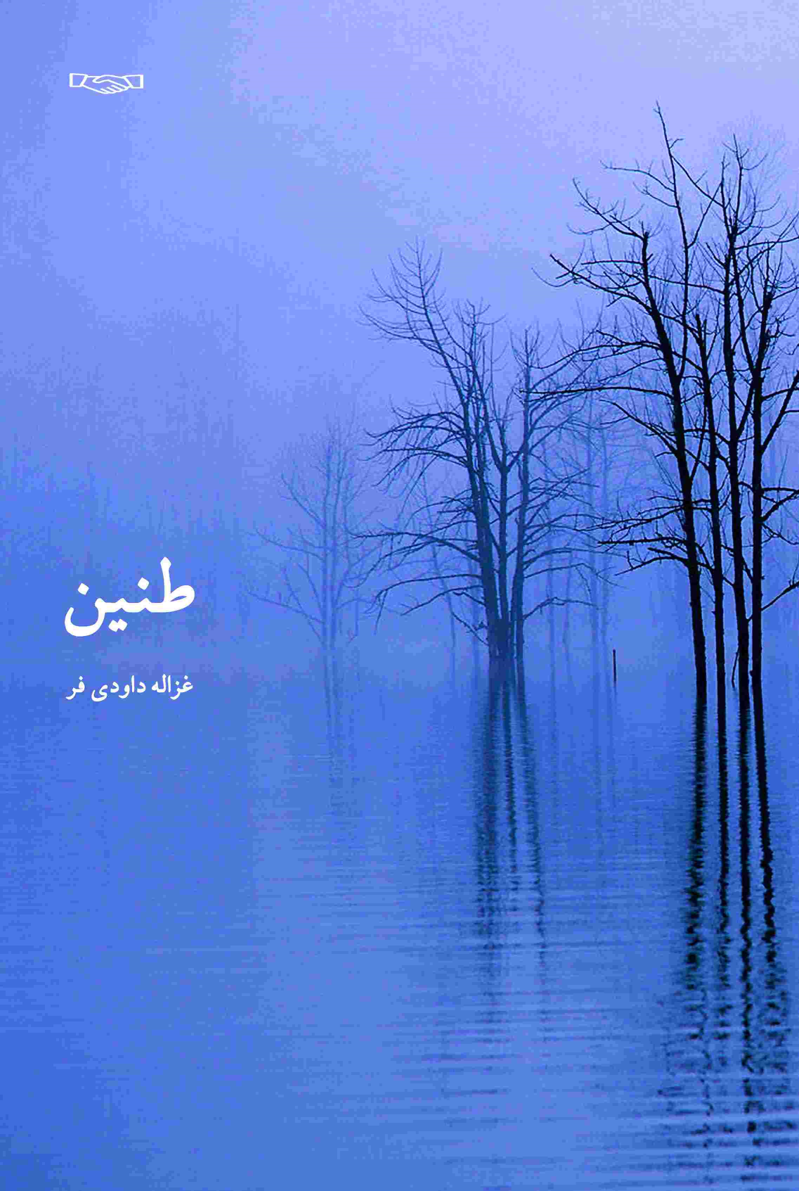 کتاب طنین