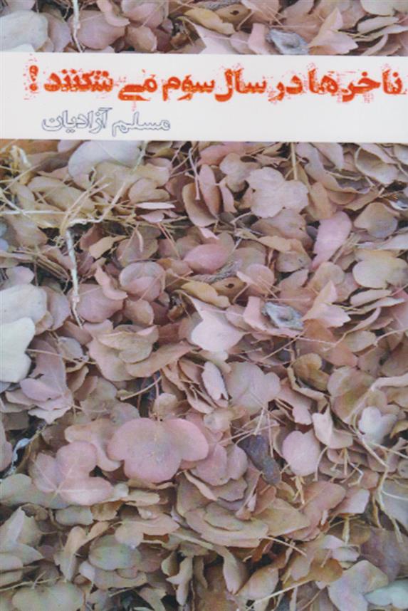 کتاب ناخن ها در سال سوم می شکنند!