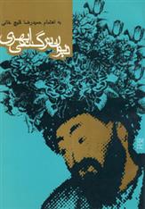 کتاب دیوان نرگسی ابهری