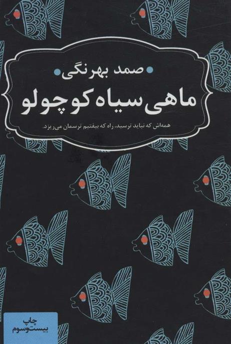 کتاب ماهی سیاه کوچولو (جیبی)