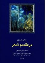 کتاب در طلسم شعر