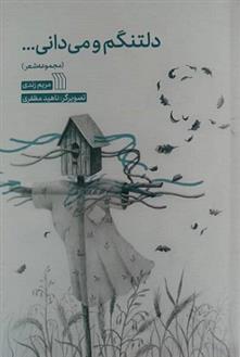 کتاب دلتنگم و می دانی...