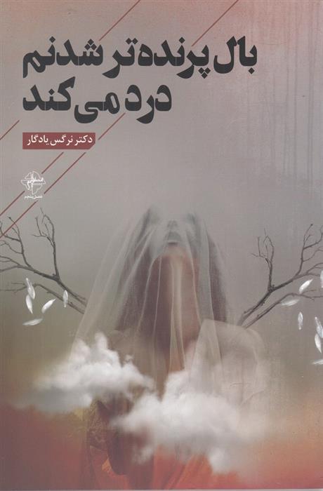 کتاب بال پرنده تر شدنم درد می کند