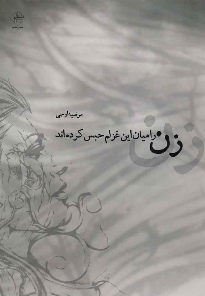 کتاب زن را میان این غزلم حبس کرده اند