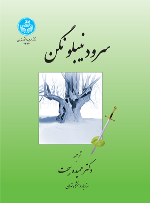 کتاب سرود نیبلونگن