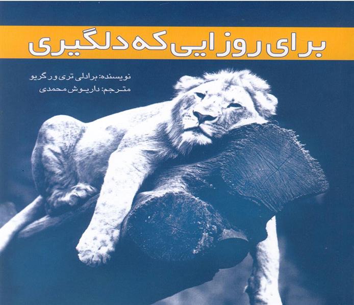 کتاب برای روزایی که دلگیری