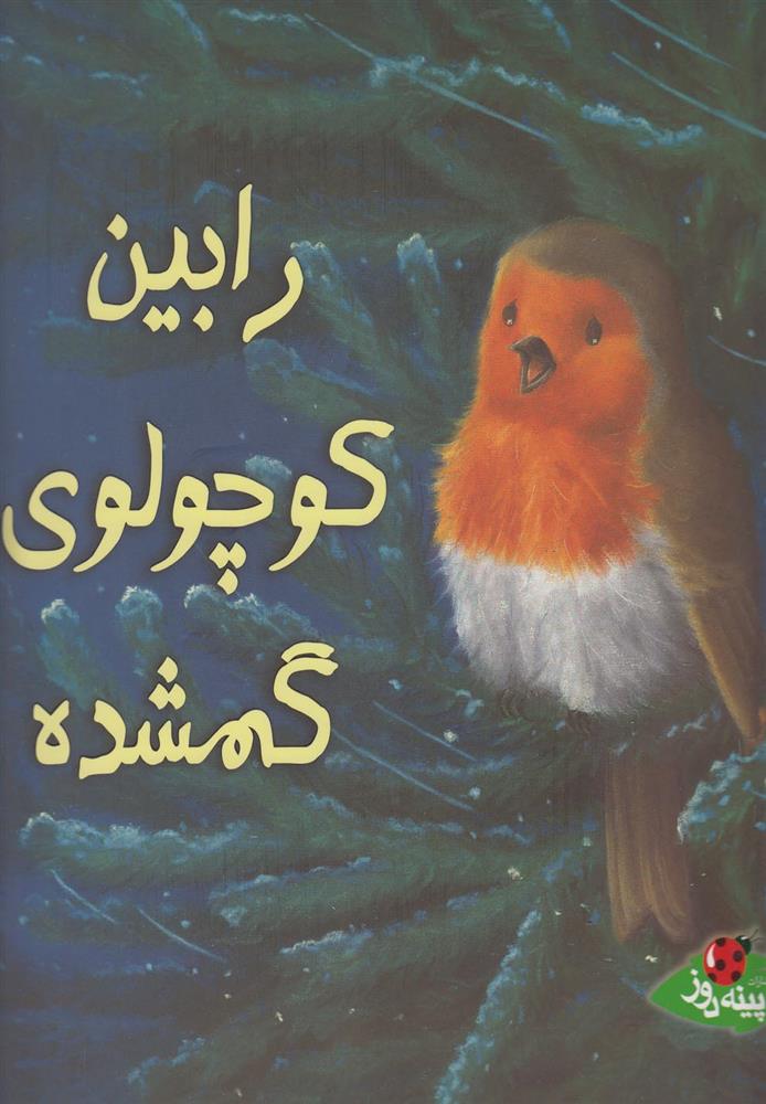 کتاب رابین کوچولوی گمشده