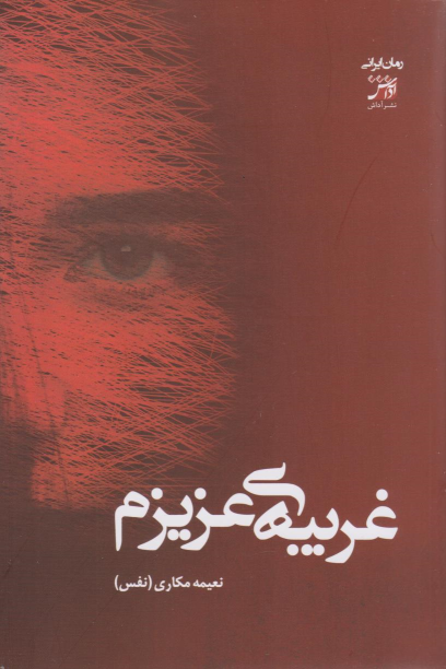 کتاب غریبه‌ی عزیزم
