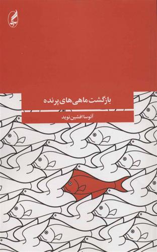 کتاب بازگشت ماهی های پرنده