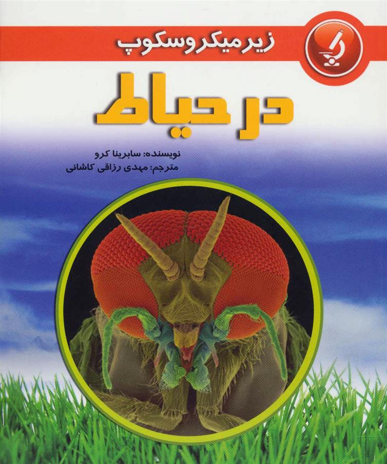 کتاب در حیاط