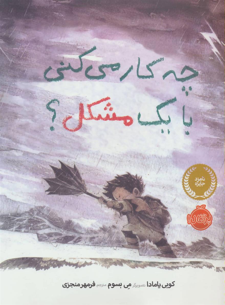کتاب چه کار می کنی با یک مشکل؟