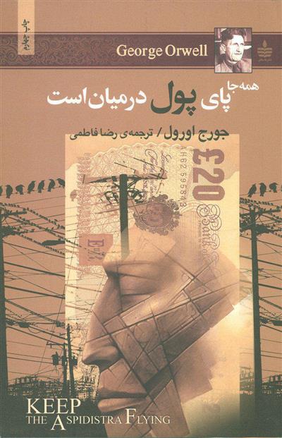 کتاب همه جا پای پول در میان است;
