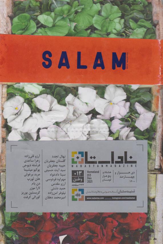کتاب مجله ناداستان 13 (وطن)