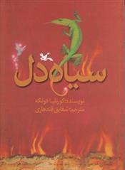 کتاب مجموعه سیاه دل