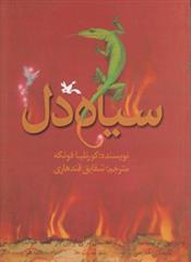 کتاب مجموعه سیاه دل;