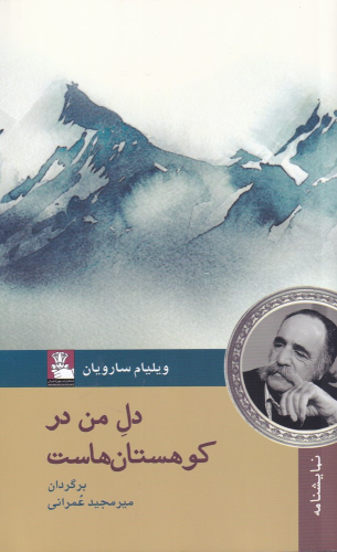 کتاب دل من در کوهستان‌ هاست