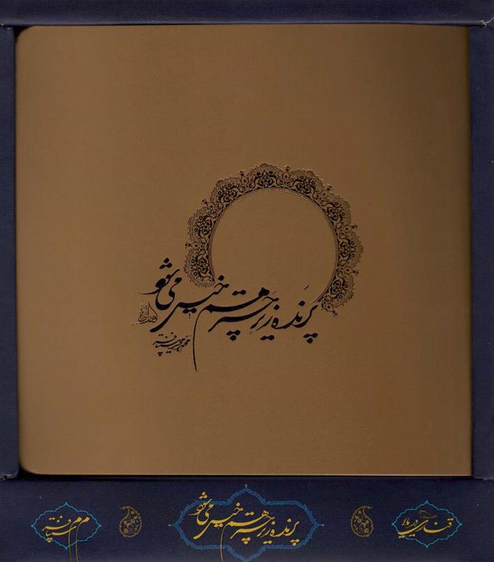 کتاب پرنده زیر چتر هم خیس می شود (باجعبه)