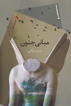 کتاب مبانی جنون