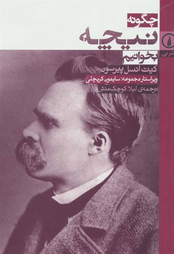 کتاب چگونه نیچه بخوانیم