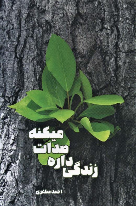 کتاب زندگی داره صدات میکنه
