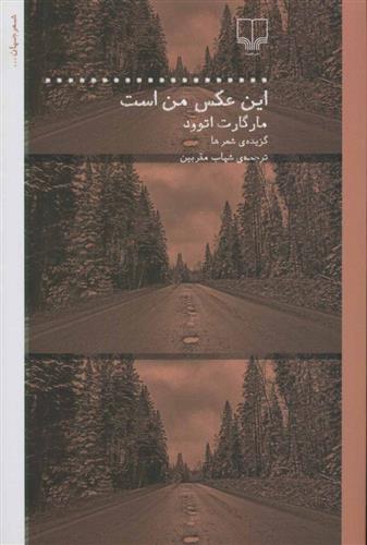 کتاب این عکس من است