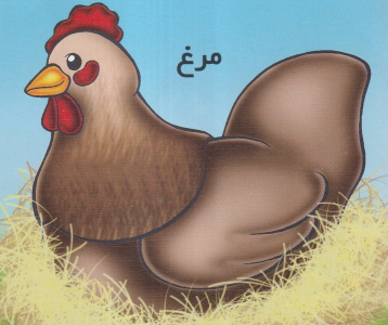 کتاب مرغ