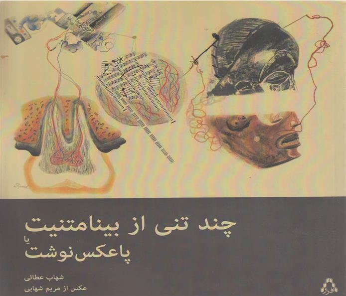 کتاب چند تنی از بینامتنیت