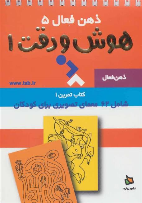 کتاب هوش و دقت 1