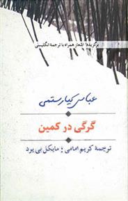 کتاب گرگی در کمین