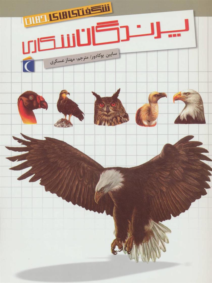 کتاب پرندگان شکاری