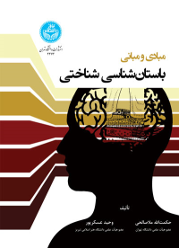 کتاب مبادی و مبانی باستان‌ شناسی شناختی