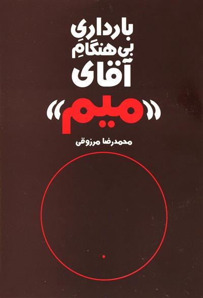 کتاب بارداری بی هنگام آقای میم