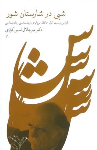 کتاب شبی در شارستان شور