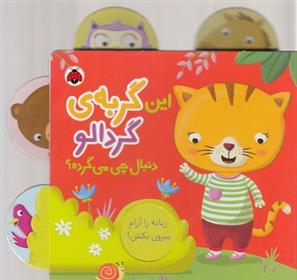 کتاب این گربه گردالو دنبال چی می گرده