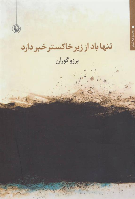کتاب تنها باد از زیر خاکستر خبر دارد