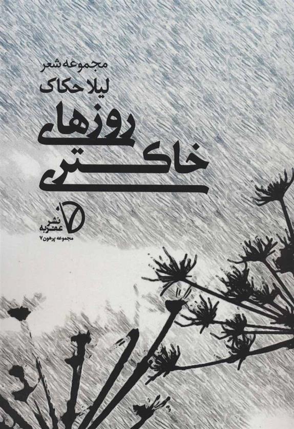 کتاب روزهای خاکستری