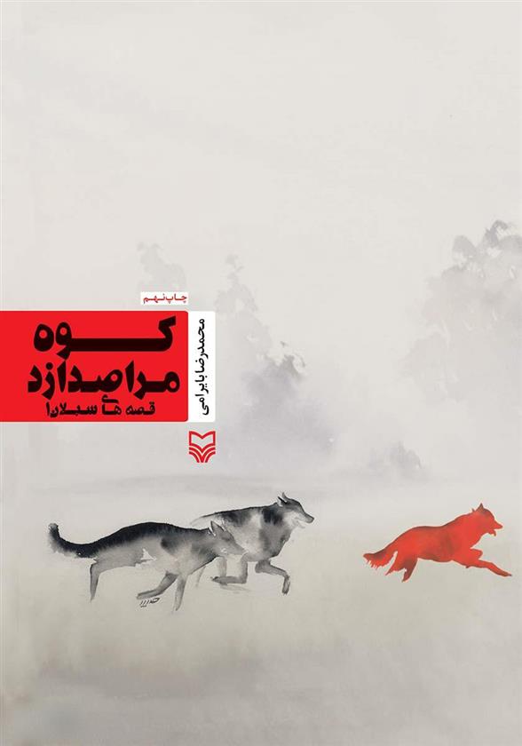 کتاب کوه مرا صدا زد