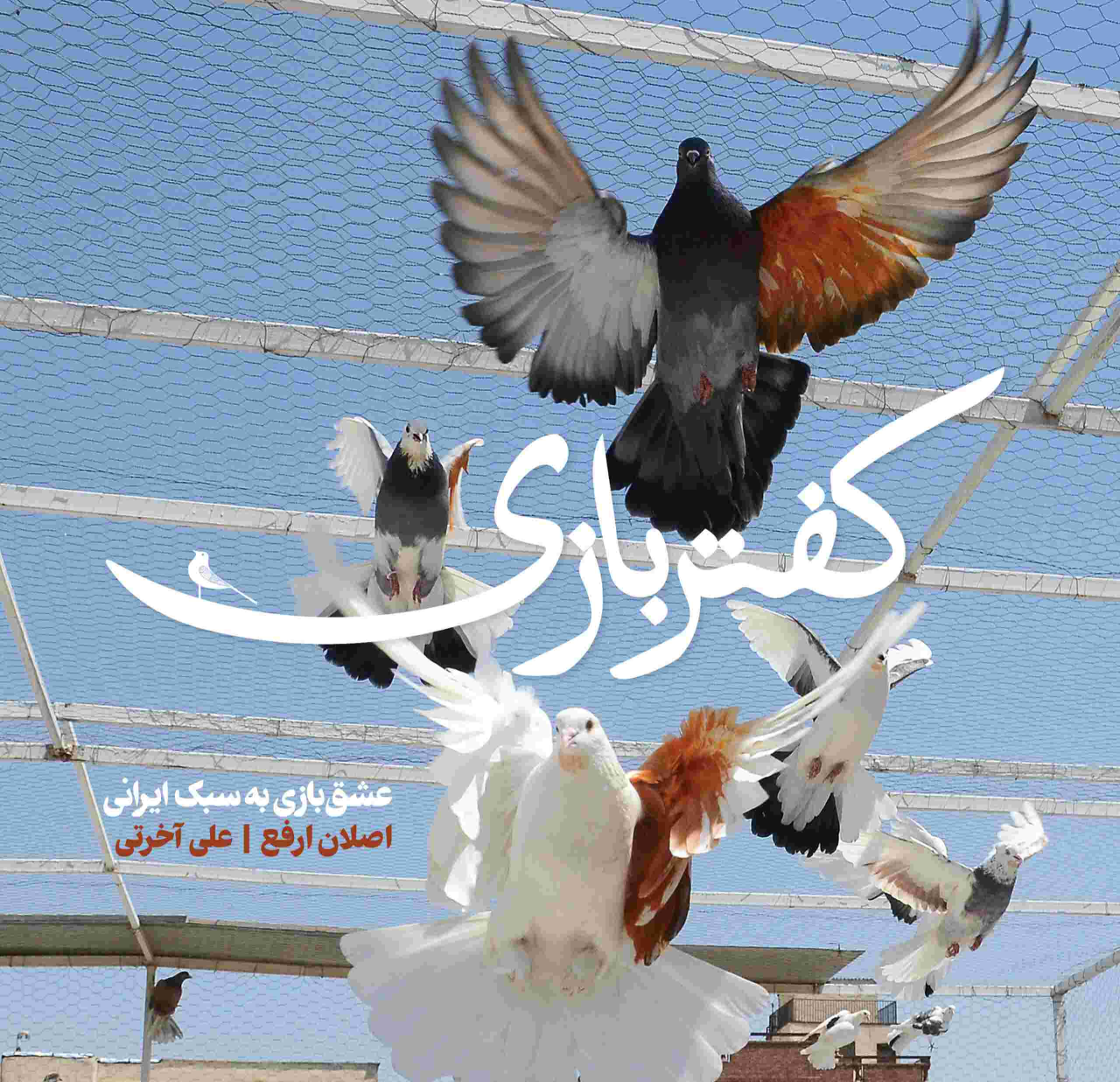 کتاب کفتربازی