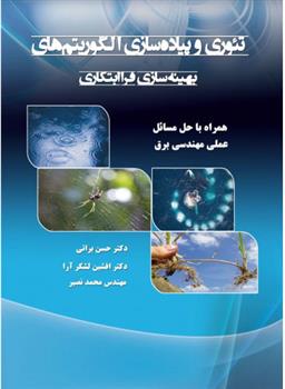 کتاب تئوری و پیاده سازی الگوریتم های بهینه سازی فرا ابتکاری