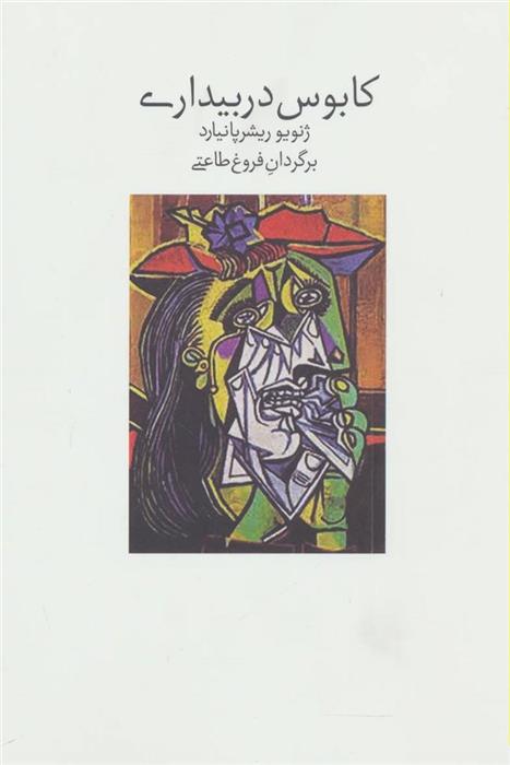 کتاب کابوس در بیداری