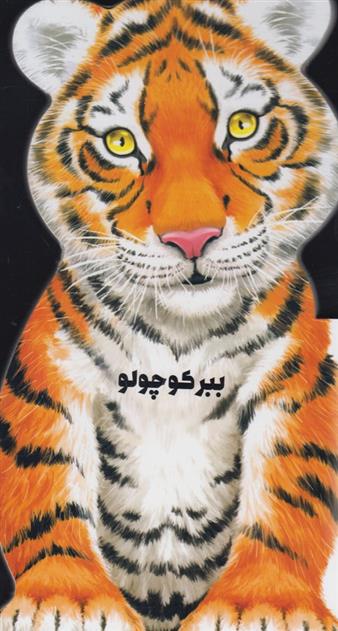 کتاب ببر کوچولو