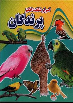 کتاب اسرار شگفت انگیز پرندگان