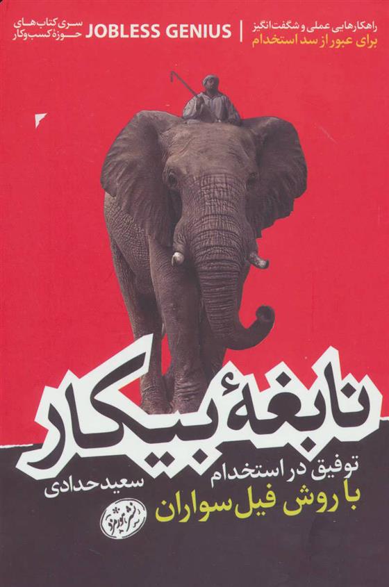 کتاب نابغه بیکار