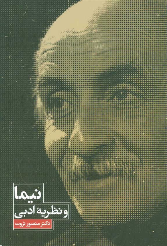 کتاب نیما و نظریه ادبی